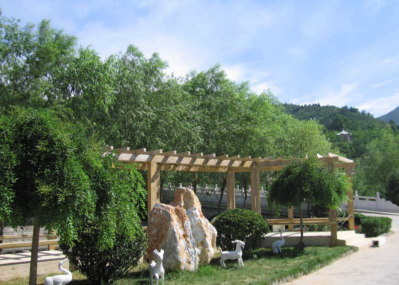 北京十三陵景仰园能树葬嘛