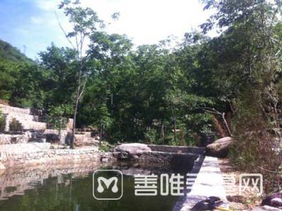 北京水泉沟树葬价格怎么样，分为几个层次