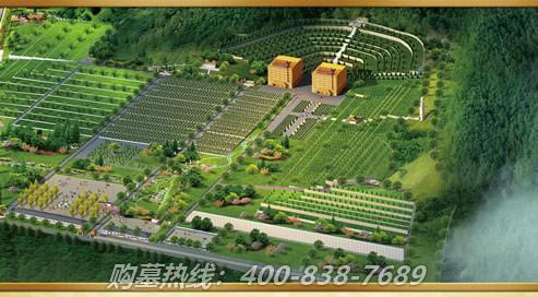 如何查询墓地市场？在哪里查询？