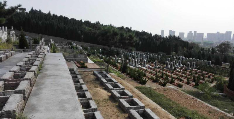 龙山墓地价格表,更多需求更多选择