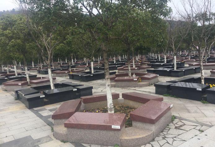 青龙山公墓 如何选择好的墓地位置及朝向