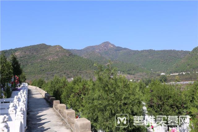 2015墓地价格和现在墓地价格的区别