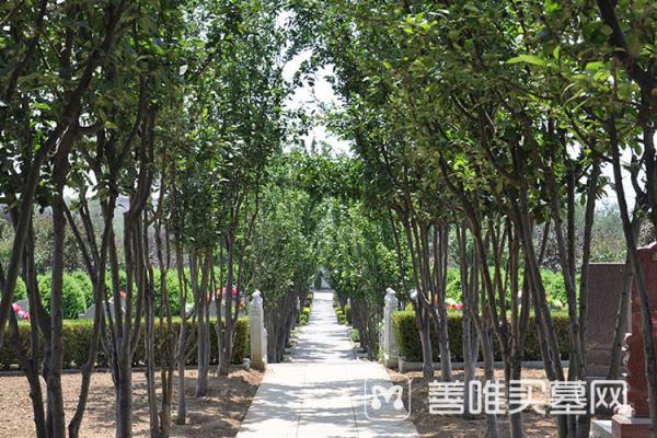 北京静安墓地价格中各种墓地的特点  又有什么地方不同