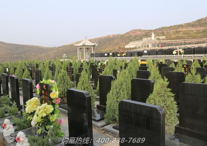 哪里可以查询墓地收费标准？大概多少？