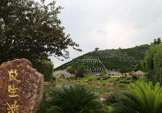 墓地价格表,由这些因素决定价格