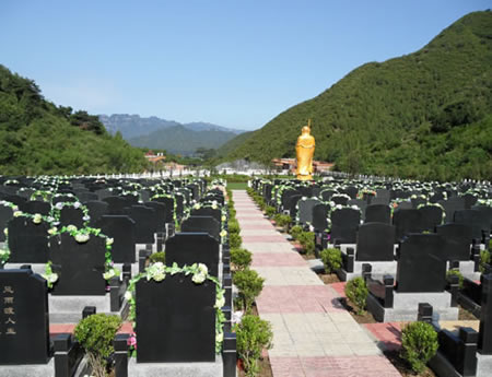墓地哪里好，这个地方真是太棒了