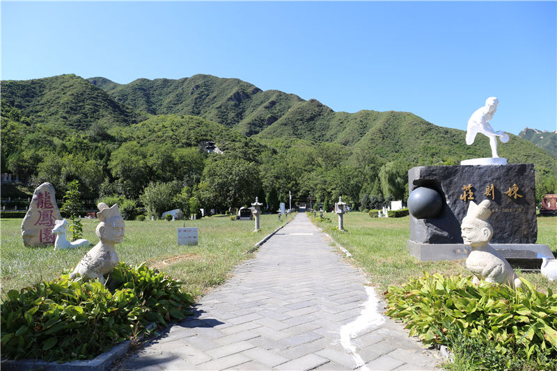 墓地价格高不高？受哪些方面因素影响？