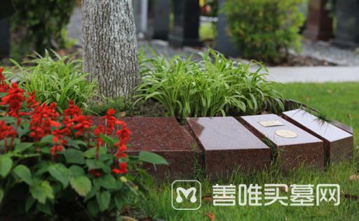 北京生态安葬树葬怎么收费？生态安葬树葬是什么