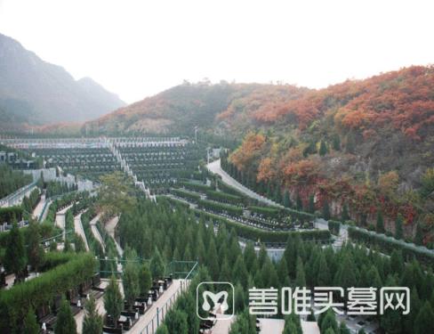 北京昌平树葬需要多少钱？天寿陵园环境怎么样？