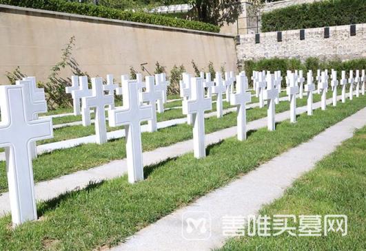 北京市树葬流程是怎样的  树葬所具备的优点