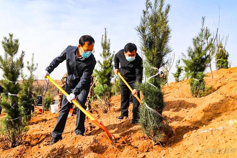 植树造林与生态殡葬相结合，符合时代要求的生态殡葬模式