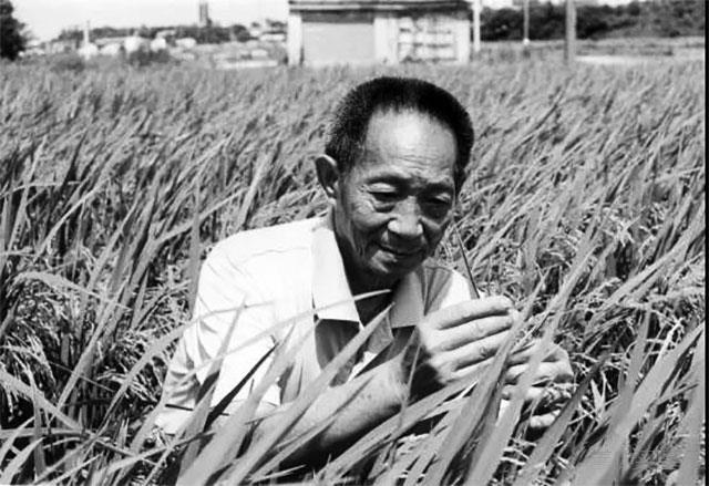 袁隆平院士悼念特写：殡仪馆外的送别